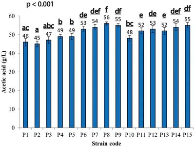 Defining Paenibacillus azoreducens (P8) and Acetobacter pasteurianus (UMCC 2951) strains performances in producing acetic acid